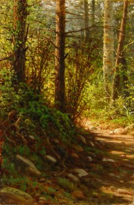 clough_forestpath